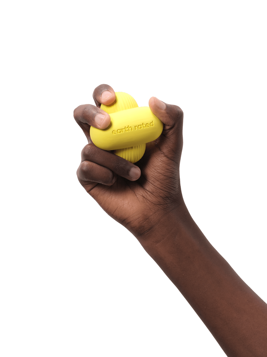 Fetch Toy