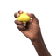 Fetch Toy