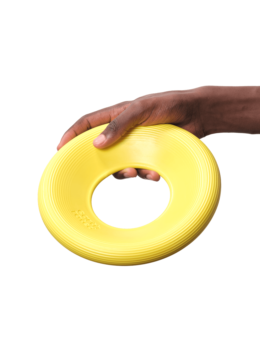 Fly Toy