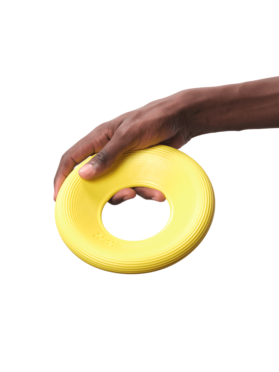 Fly Toy