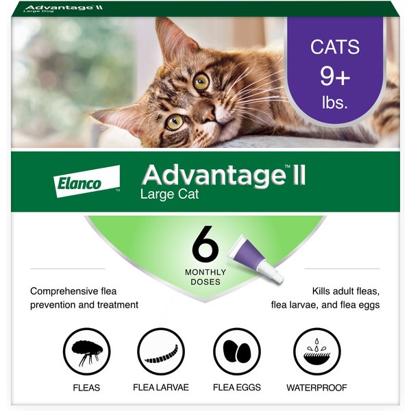 Advantage II - Elanco Flea Treatment For Cats Over 9 lbs, 4-Pack