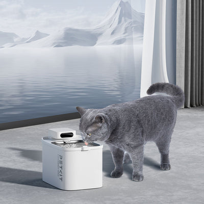 PetKte EverSweet Max (Cordless) Ultimate Bundles