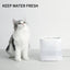 PetKit EverSweet Solo SE & Smooth Duo