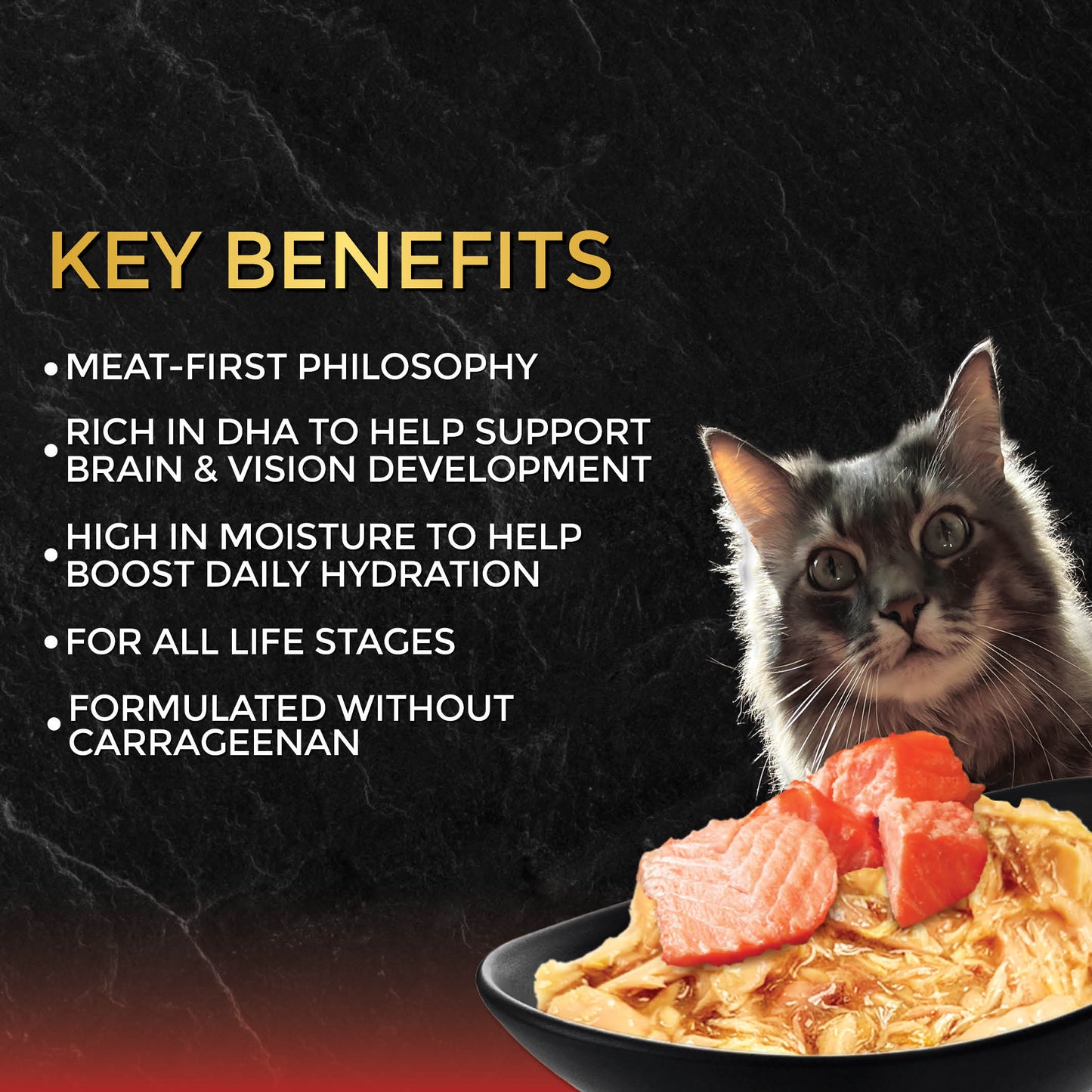 Fussie Cat Tuna With Salmon Formula in Gravy 2.82-oz, Wet Cat Food, Case Of 24