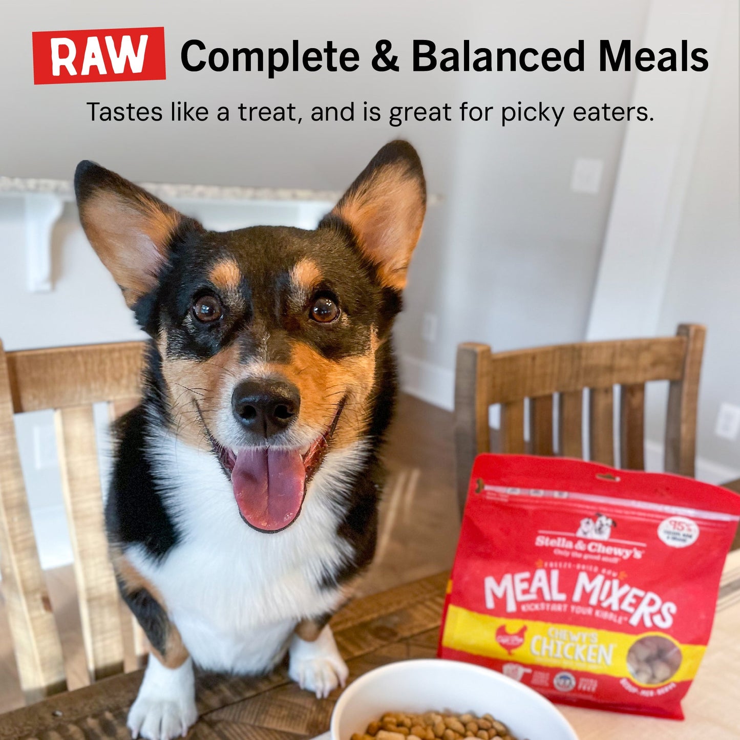 Chewy’s Chicken Meal Mixers