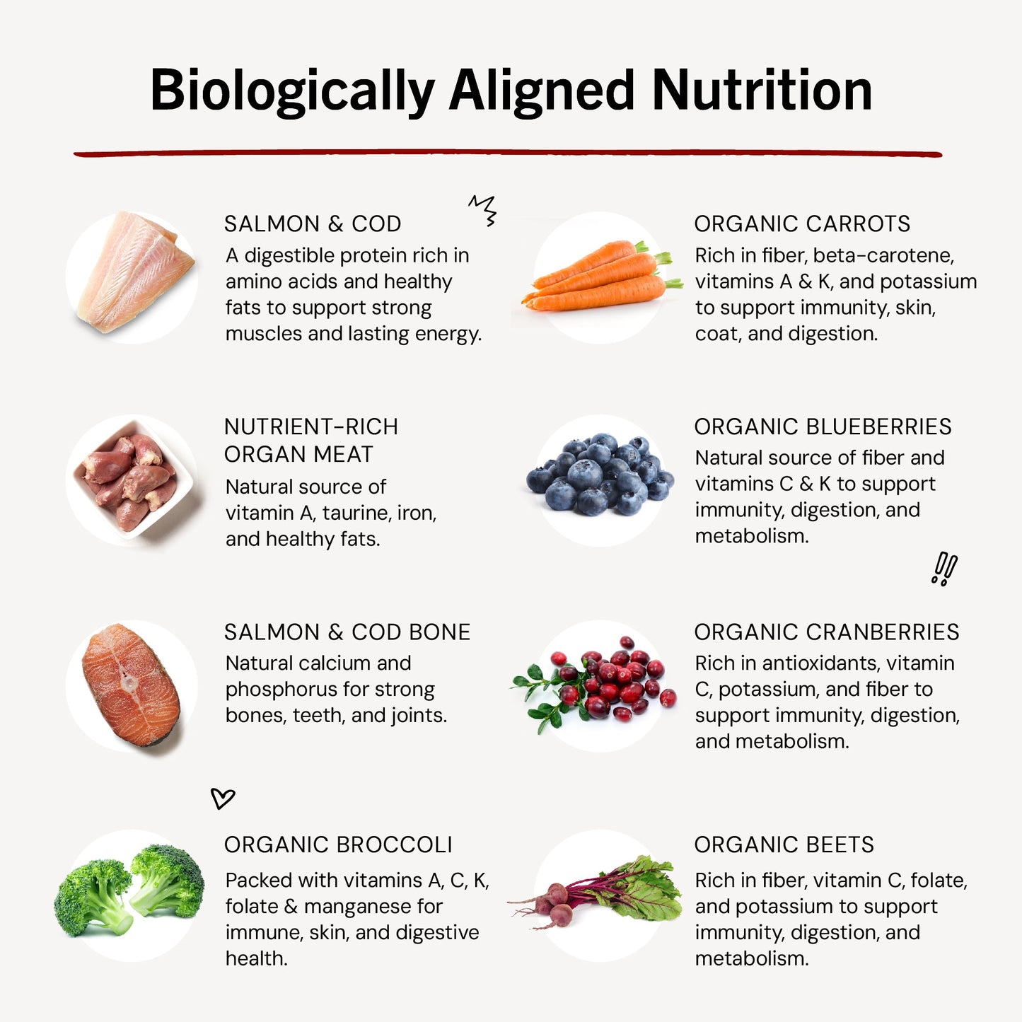 Savory Salmon & Cod Meal Mixers