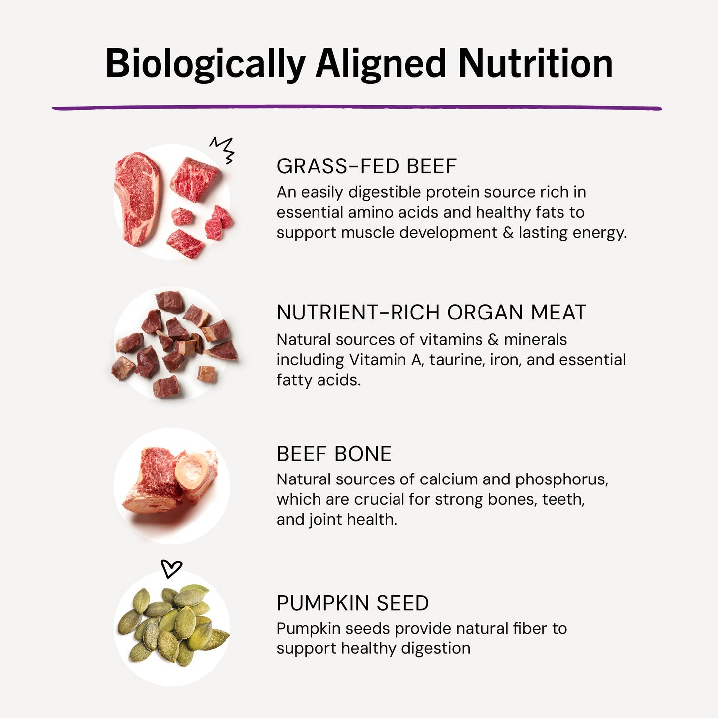 Bountiful Beef Freeze-Dried Raw Dinner Morsels