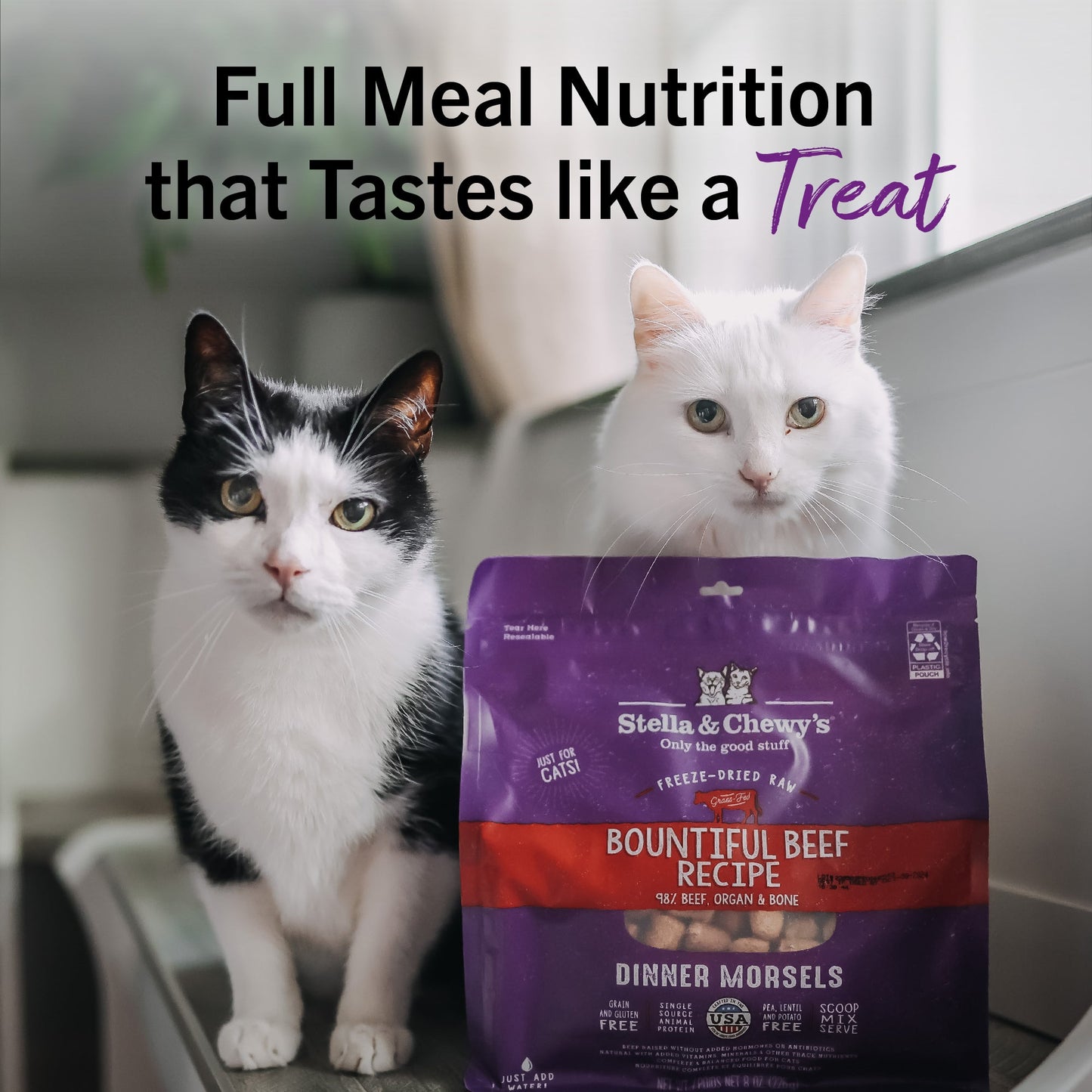 Bountiful Beef Freeze-Dried Raw Dinner Morsels