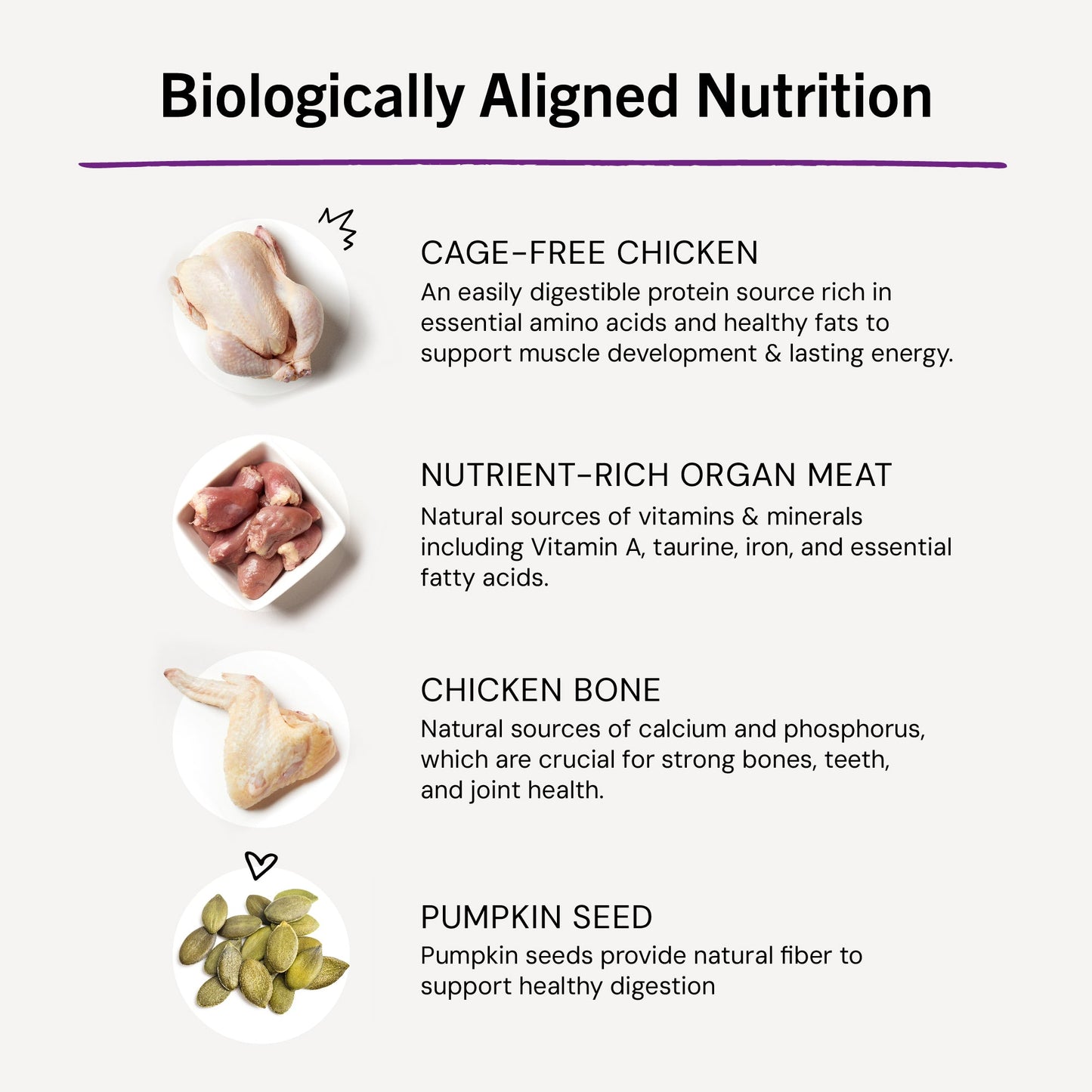 Chick, Chick Chicken Freeze-Dried Raw Dinner Morsels