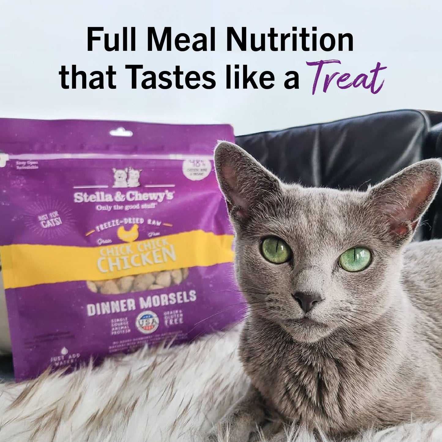 Chick, Chick Chicken Freeze-Dried Raw Dinner Morsels