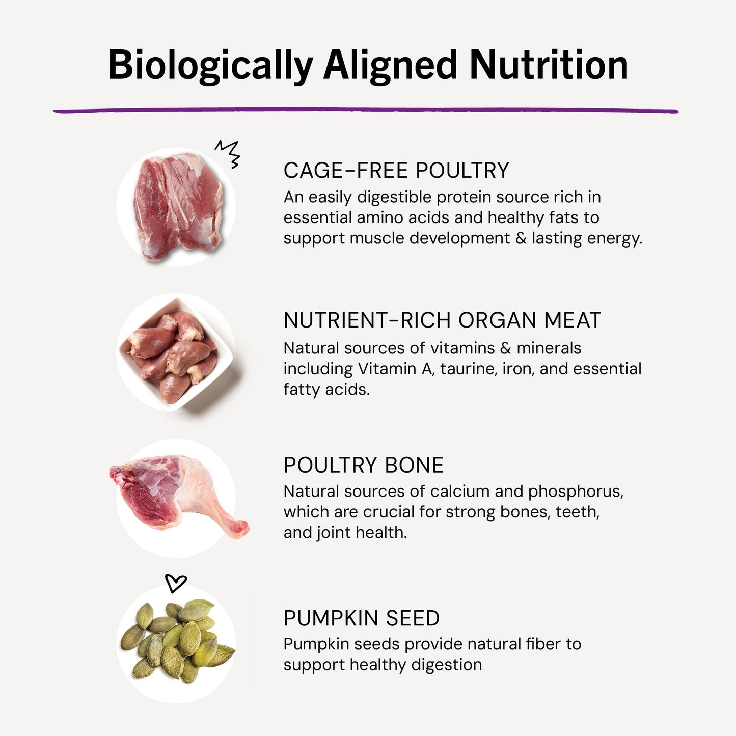 Duck Duck Goose Freeze-Dried Raw Dinner Morsels