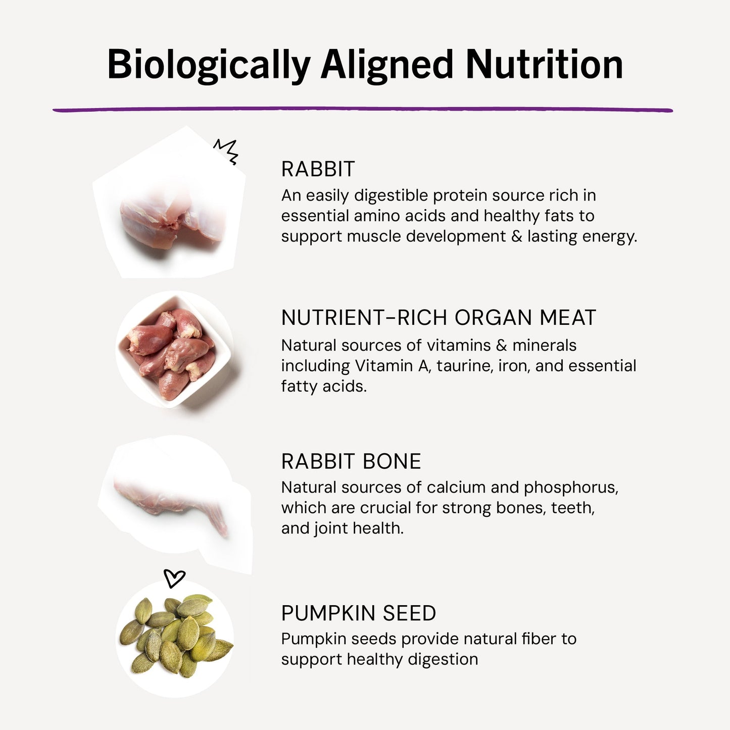 Absolutely Rabbit Freeze-Dried Raw Dinner Morsels