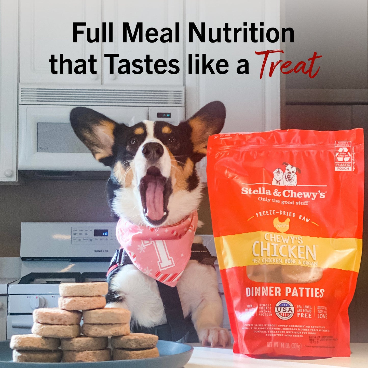 Chewy’s Chicken Freeze-Dried Raw Dinner Patties