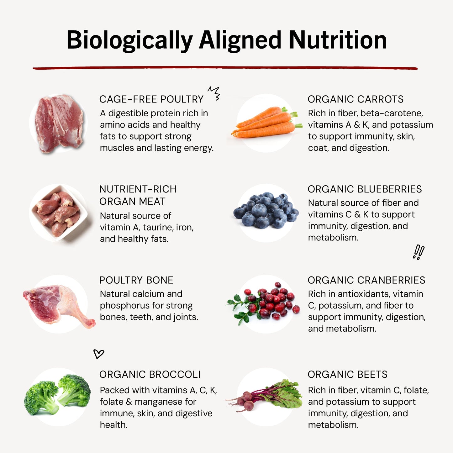 Duck Duck Goose Freeze-Dried Raw Dinner Patties