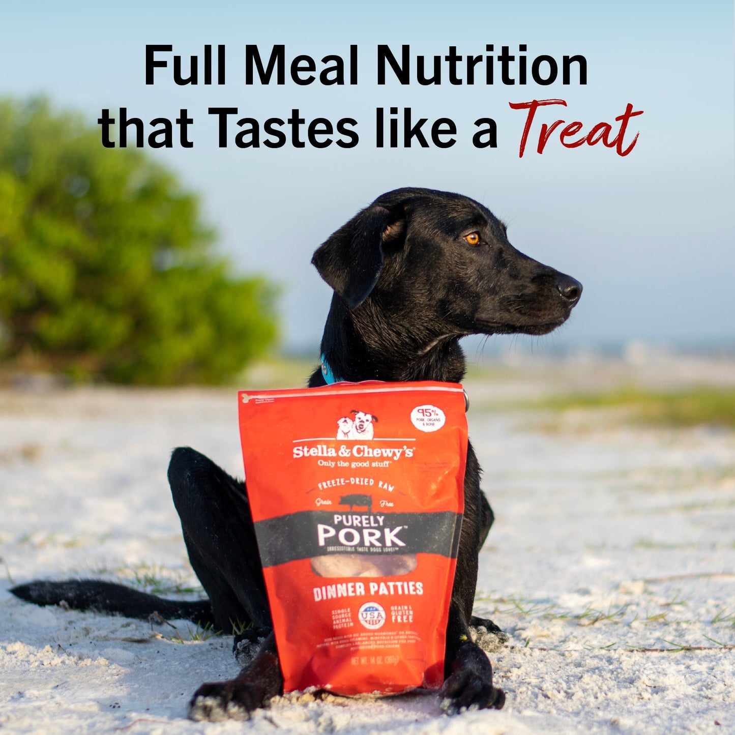 Purely Pork Freeze-Dried Raw Dinner Patties