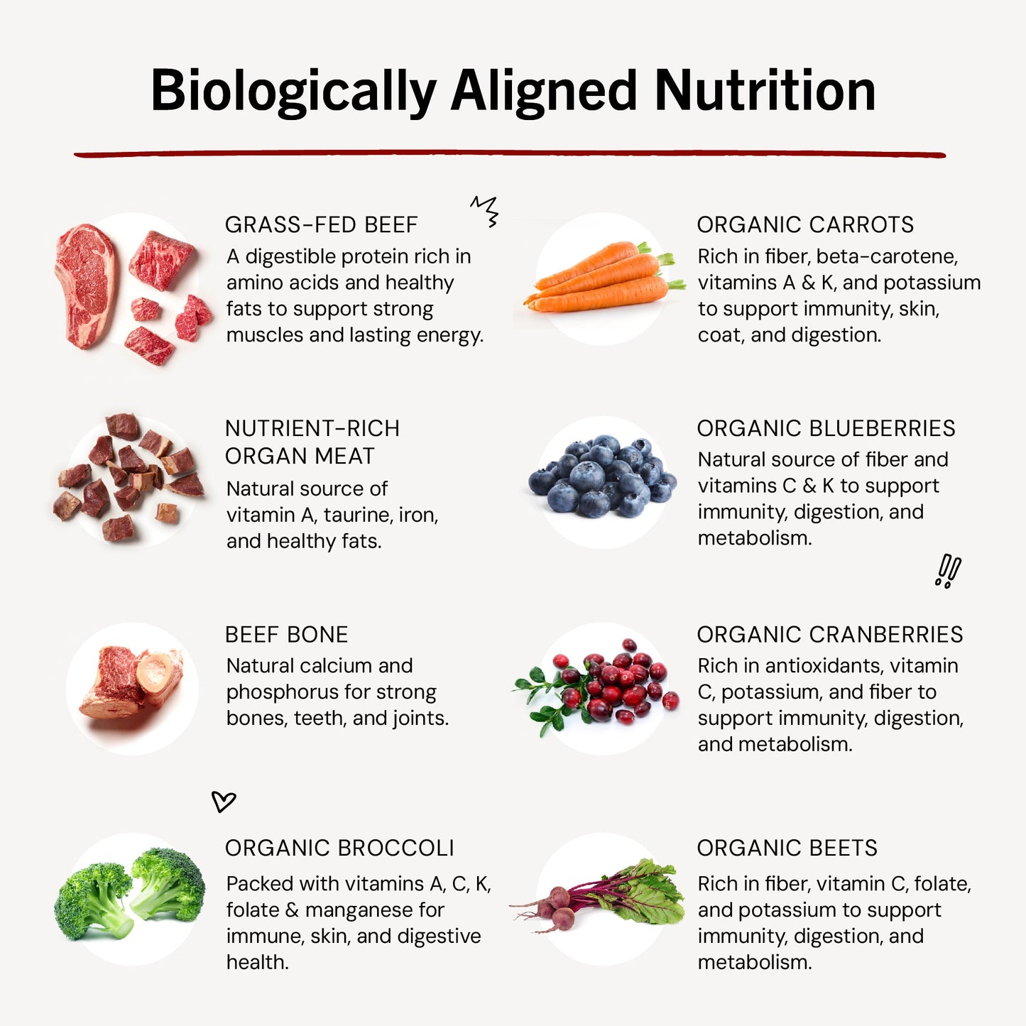 Chicken & Salmon Puppy Patties
