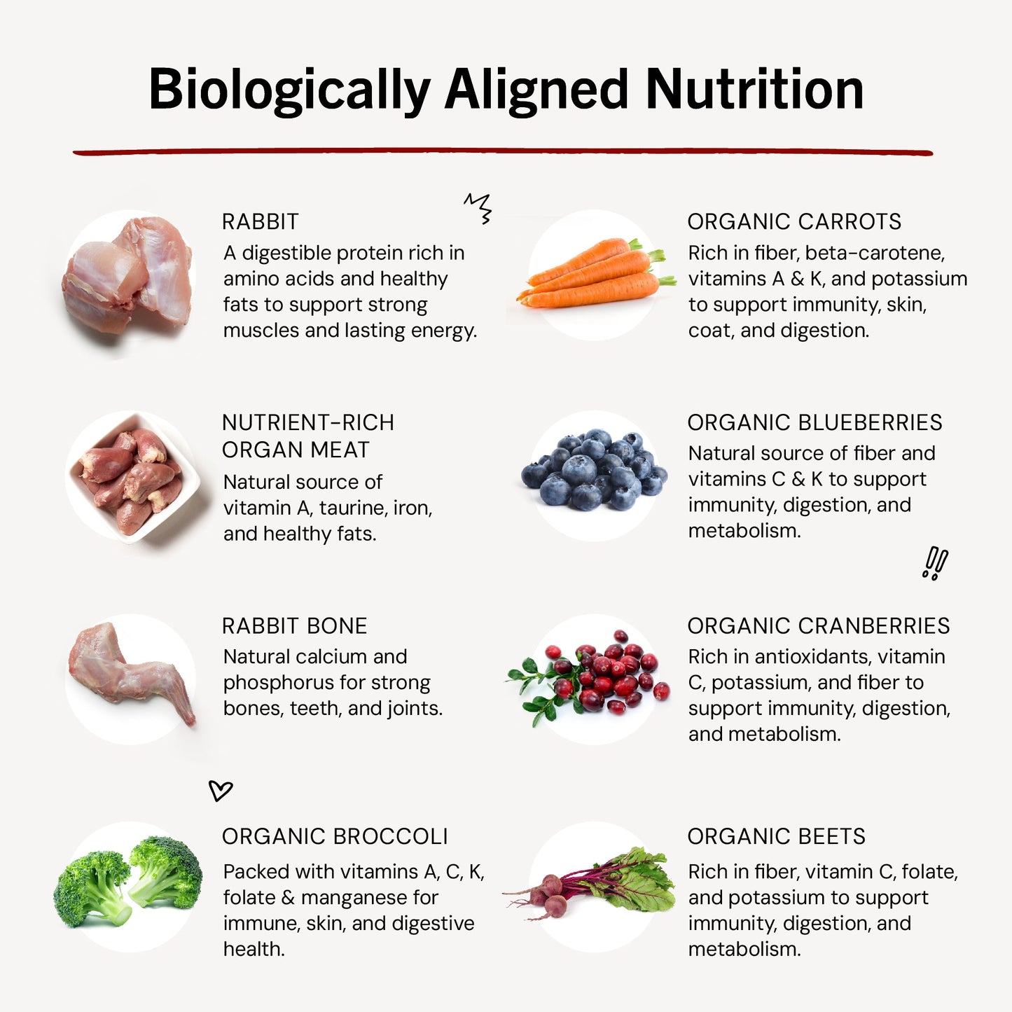 Absolutely Rabbit Freeze-Dried Raw Dinner Patties