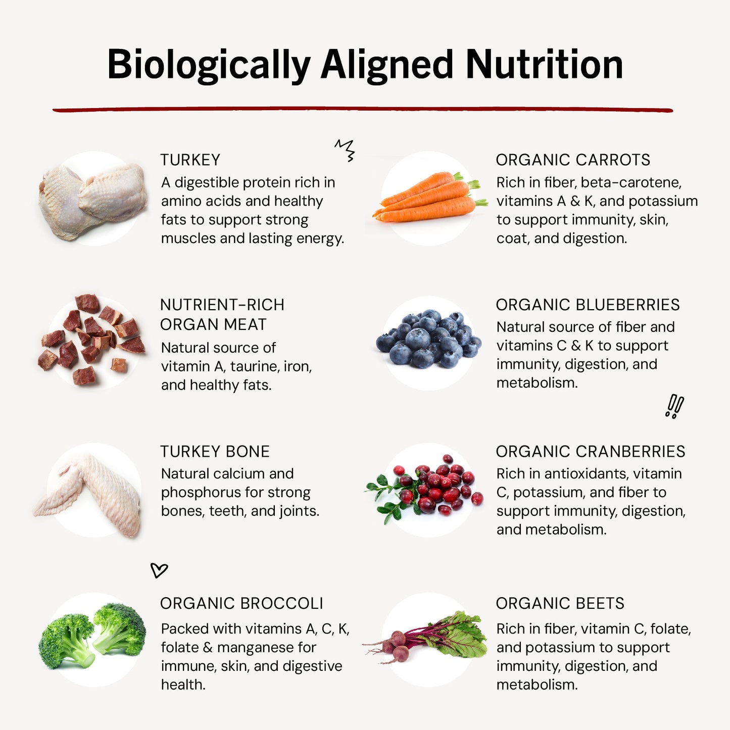 Tantalizing Turkey Freeze-Dried Raw Dinner Patties