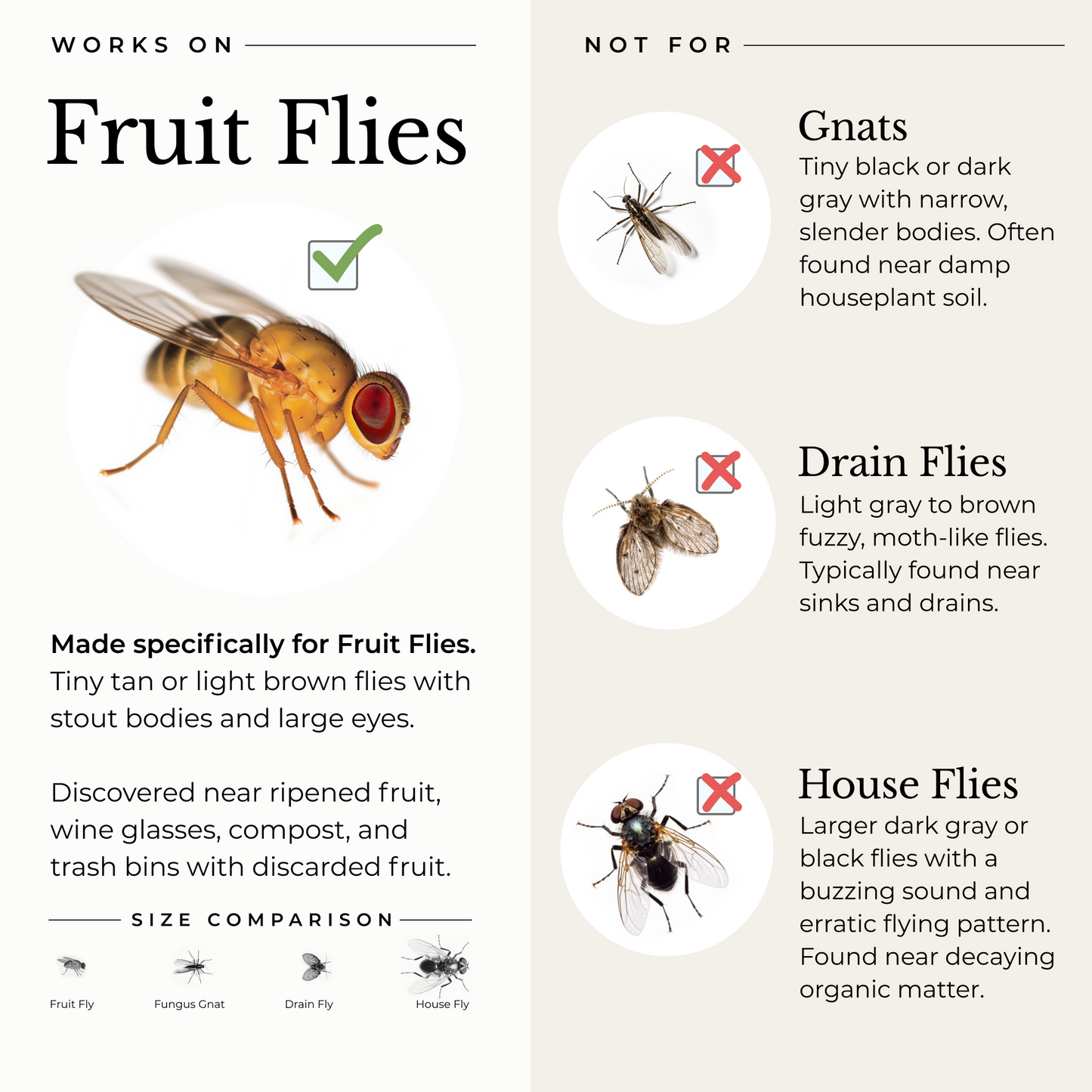 Wondercide Fruit Fly Trap for Home + Kitchen