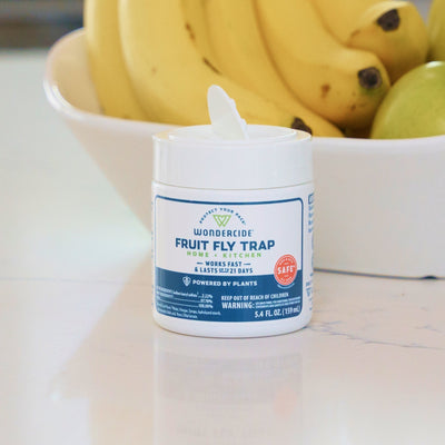 Wondercide Fruit Fly Trap for Home + Kitchen