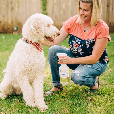 Wondercide Pet Parent Pack | Shark Tank Bundle with Natural Essential Oils