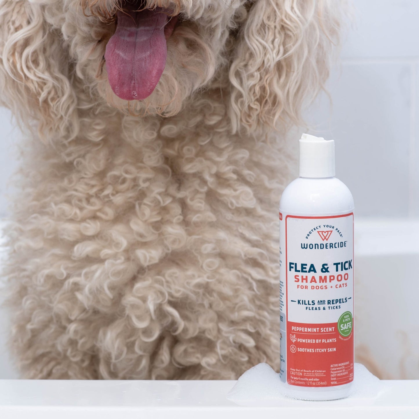 Free Gift Flea & Tick Shampoo for Dogs + Cats