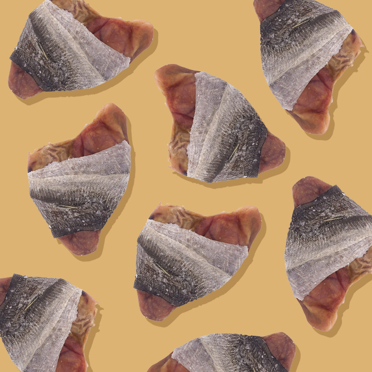 Fish Ear 10 Pack - Buy More & Save