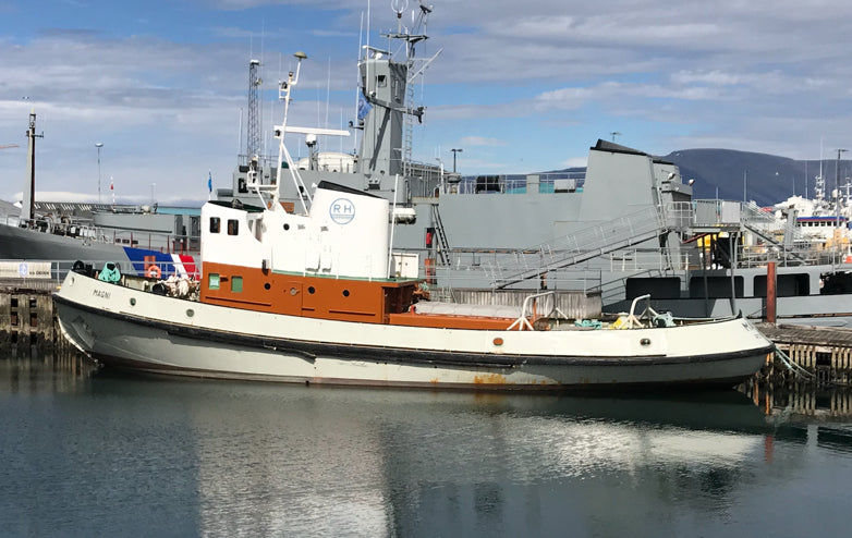 Cod & Lobster Combo Bites Fish Dog Treats