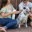 Wondercide 128 oz. Cedarwood Flea & Tick Spray for Pets + Home with Natural Essential Oils