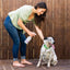 Wondercide 128 oz. Rosemary Flea & Tick Spray for Pets + Home with Natural Essential Oils