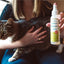 Wondercide Flea & Tick Spray for Pets + Home Scent Sampler