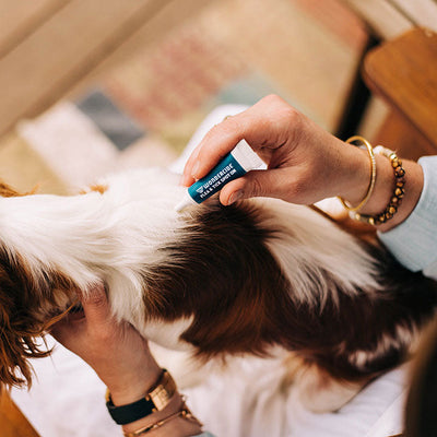 Wondercide 12-Month Flea & Tick Spot On for Large Dogs
