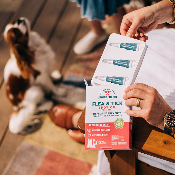 Wondercide 12-Month Flea & Tick Spot On for Medium Dogs
