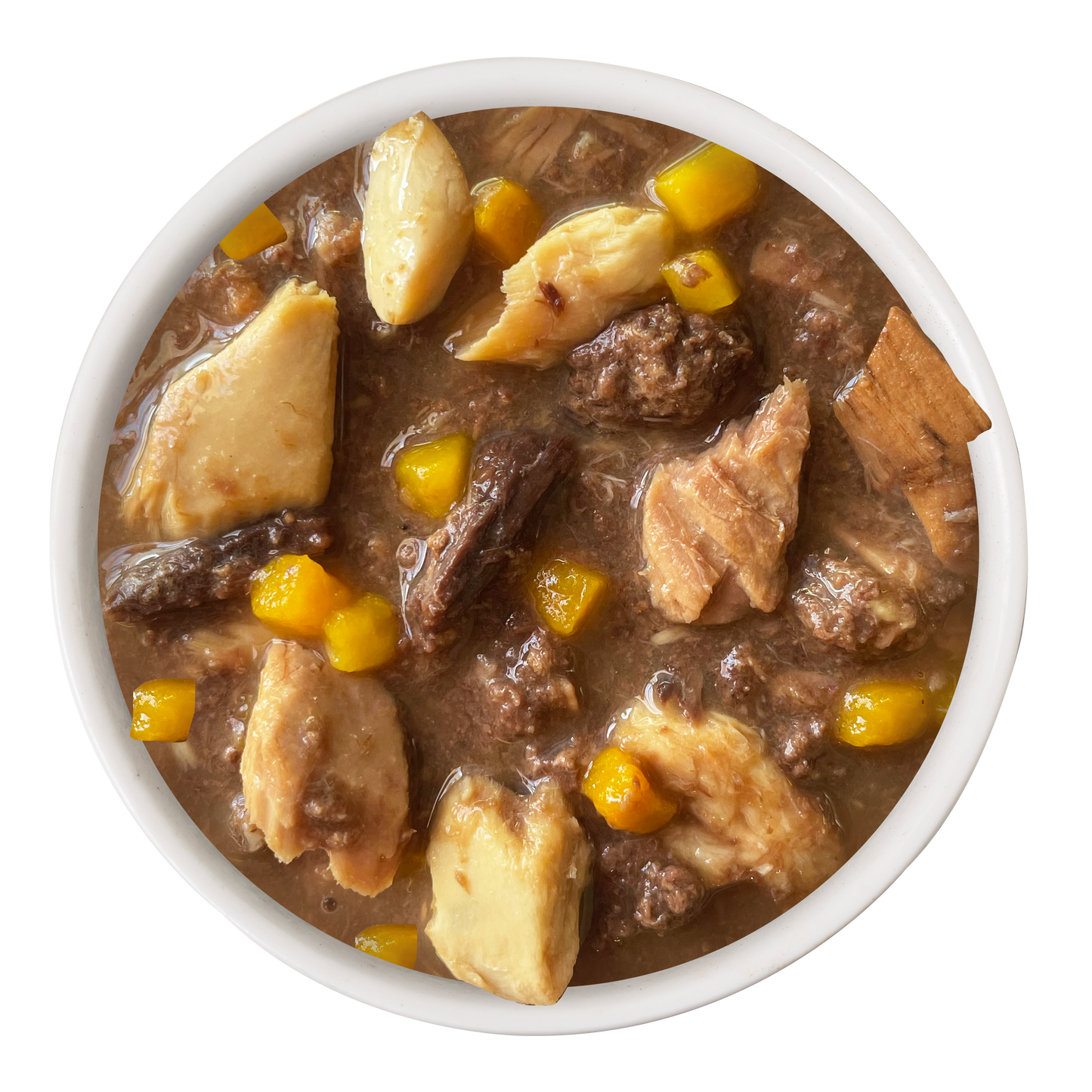 Tuna & Salmon Formula in Gravy
