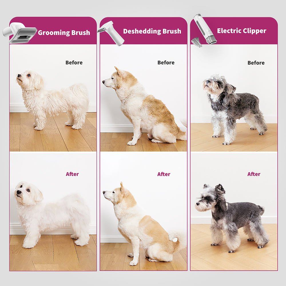 PetKit FurWaker & Fluff Pack