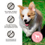 Primal Freeze-Dried Raw Dog Treats - You Maple My Day