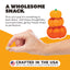 Primal Canine Chicken Pumpkin For My Pumpkin 2oz/10 count