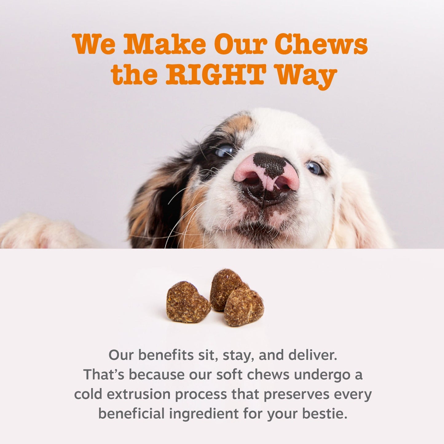 Vet Strength™ Weight Management Bites for Dogs
