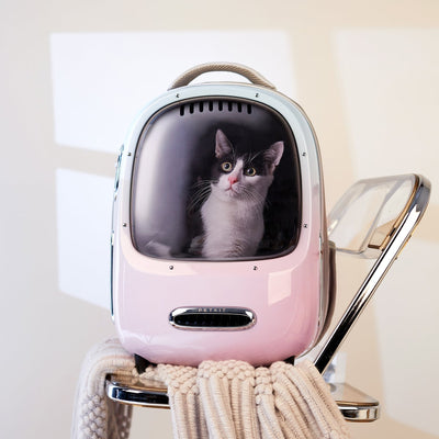 PetKit Gradient Breezy 2 & Roam Set
