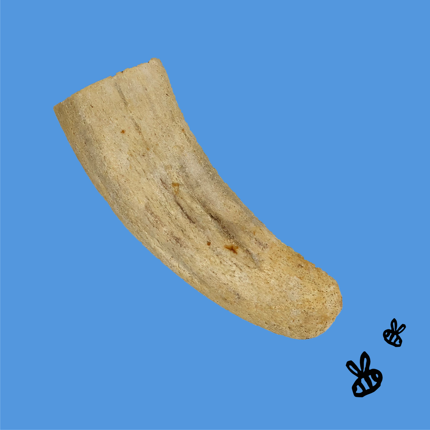 HORN CORE