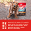 Wild Red Raw Coated Grain & Legume Free Puppy Prairie Recipe