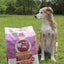 First-Five Kibble Whole Grain Large Breed Recipe
