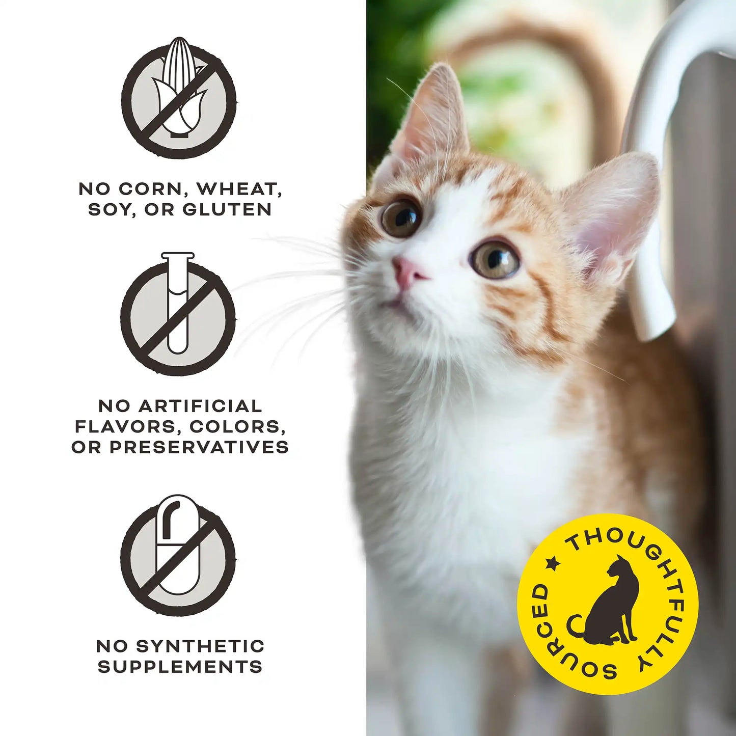 Primal Liver Laugh Love Freeze-Dried Treats for Cats - Pork Liver Recipe