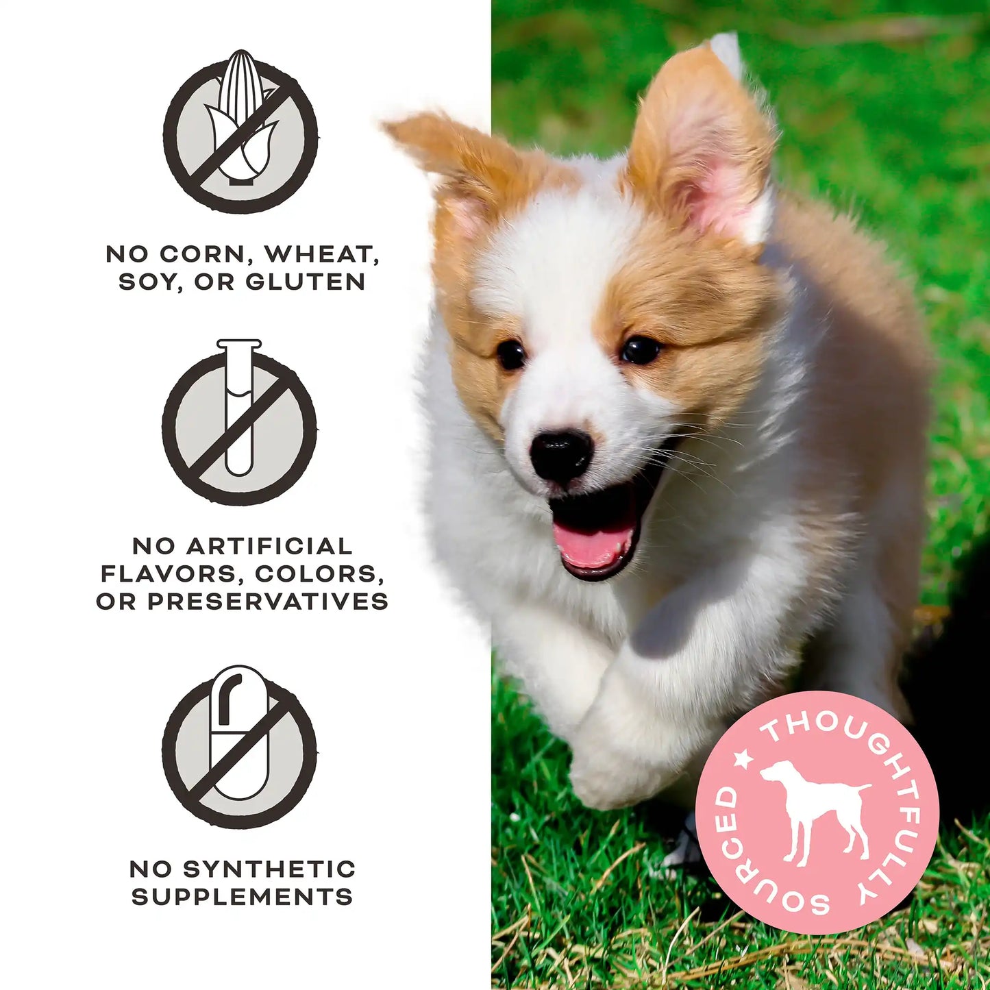 Primal Liver Laugh Love Freeze-Dried Treats for Dogs -Pork Liver Recipe