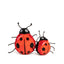 Ladybug faball®