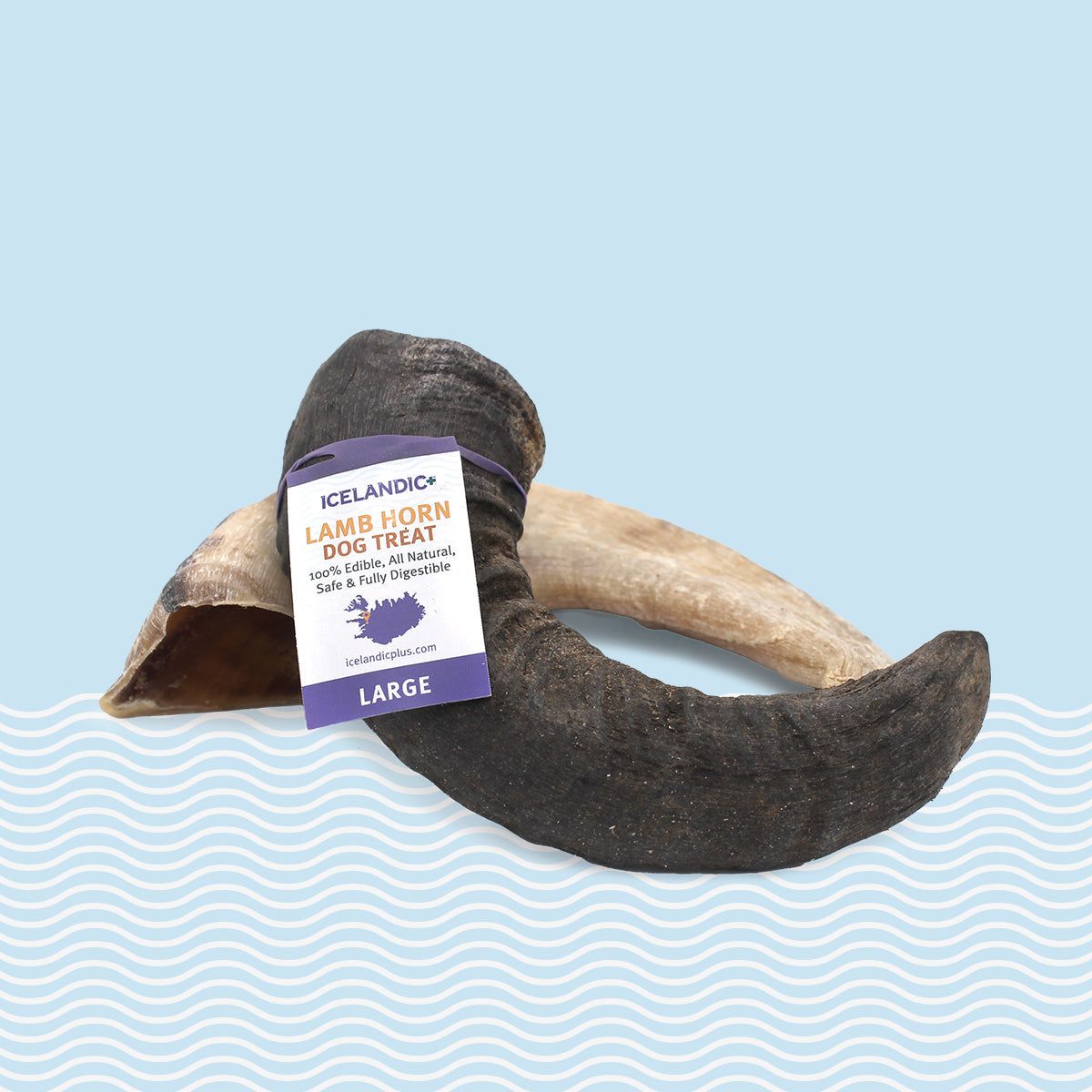 Lamb Horn Dog Chew Bundle – 2 Large Chews
