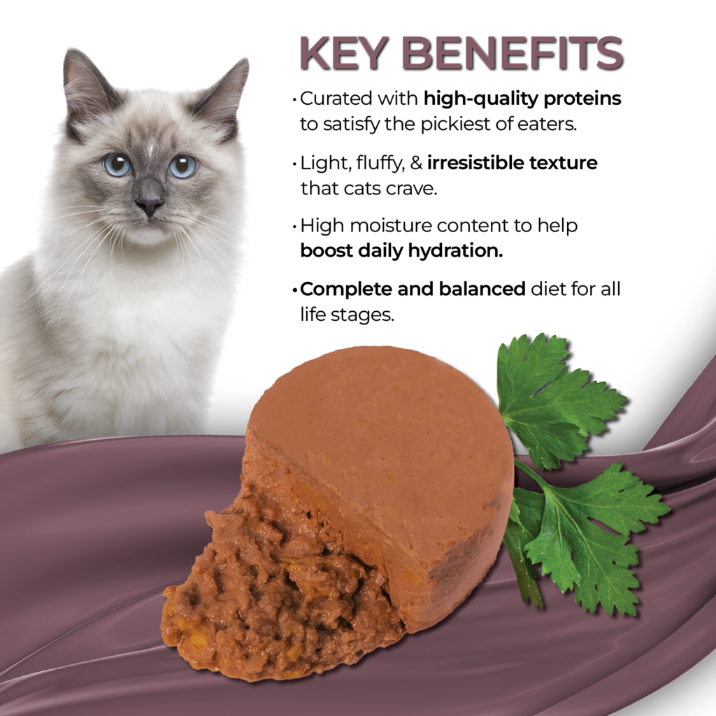 Fussie Cat Fine Dining Mousse Mackerel With Pumpkin Entree In Gravy 2.47-oz, Wet Cat Food, Case Of 24