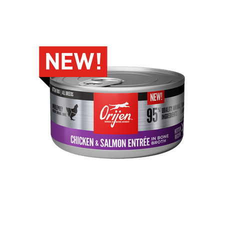 Orijen Chicken & Salmon Recipe Canned Kitten Food