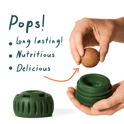 Chicken Pops: 2 Pack