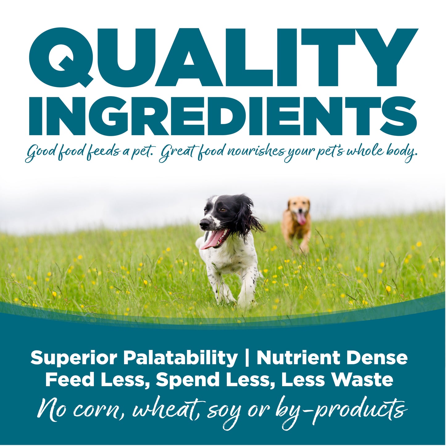 NutriSource Grain Free Chicken Canned Dog Food